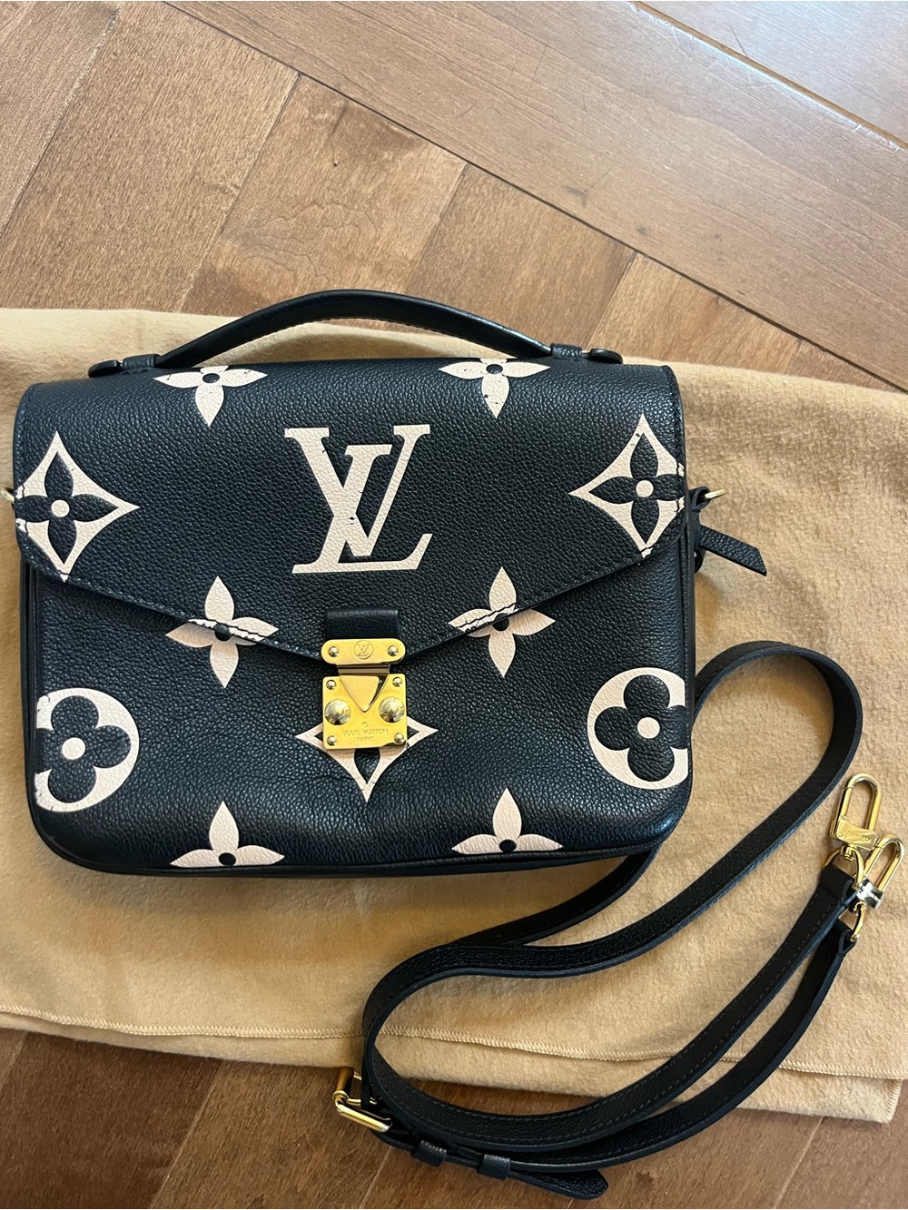 LOUIS VUITTON Empreinte Monogram Giant Pochette Metis
